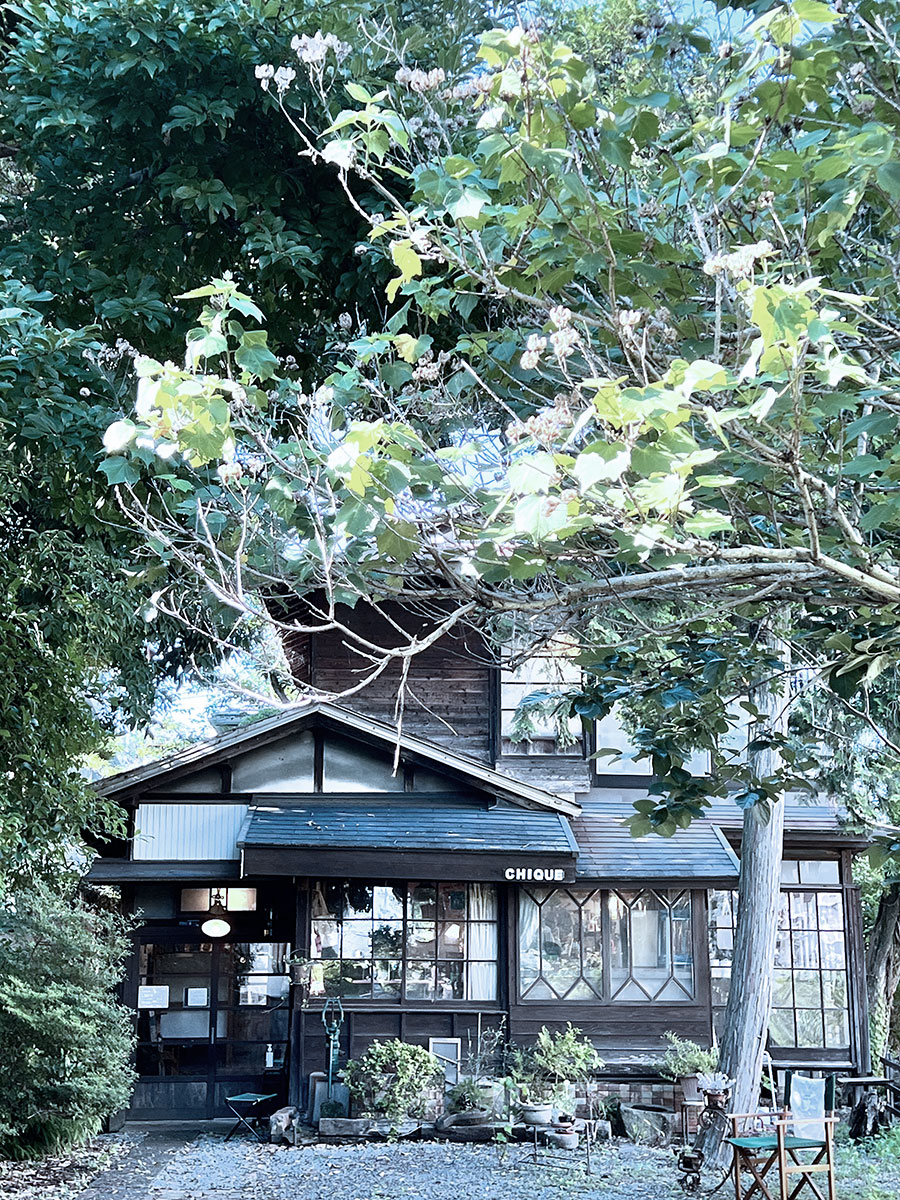 昭和レトロショップ「すずらん堂」